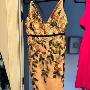 ASOS embroidered dress